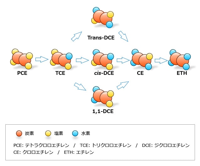 有害物質の分解経路