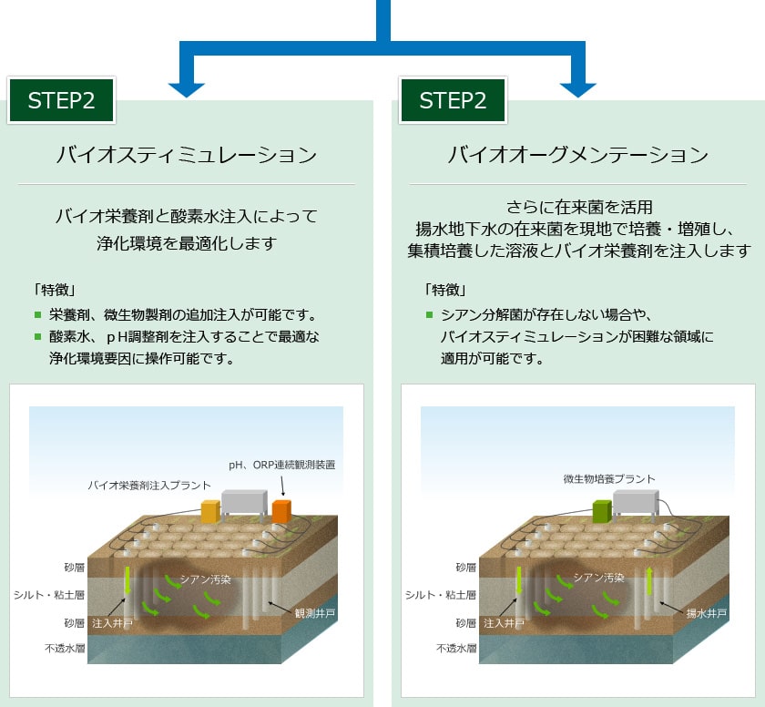 浄化プロセス 処理フロー図： STEP2 バイオスティミュレーション、バイオオーグメンテーション バイオ 栄養剤 浄化環境 注入井戸 揚水井戸 シアン汚染